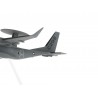 C295 AEW 1:100 scale model